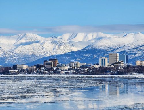 Alaska Cruises for Nature Lovers: Top Glacier & Fjord Destinations
