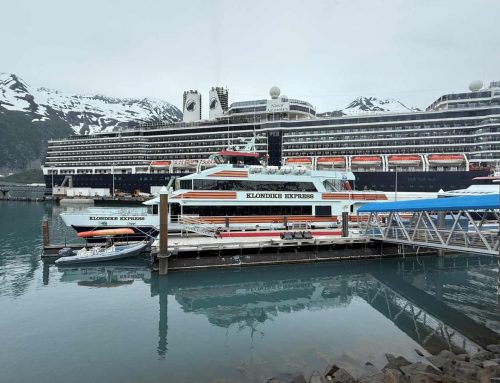 How to Choose the Best Alaska Cruise for Your Travel Style