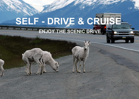 drive-cruise-alaska